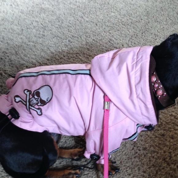 Hip Doggie Velcro closure jacket with hood Small - Picture 2 of 16